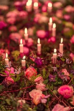 Flowers concept design Фото