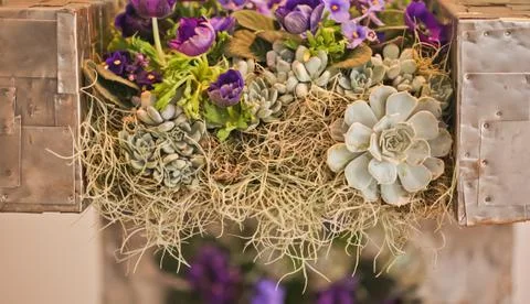 Flowers concept design Фото