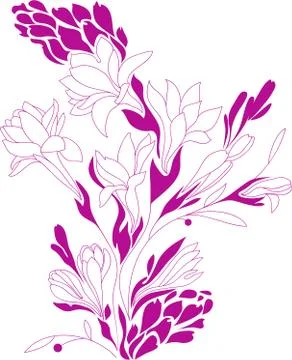 Flowers contour drawing Stock Illustration