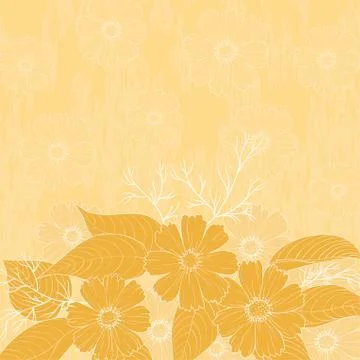 Flowers cosmos, background Stock Illustration
