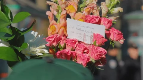 Flowers for cpl nathan cirillo, close up Stock-Footage 42965609