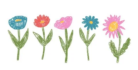 Flowers crayon drawn set. Spring poppy, aster, chamomile and marguerite plants Illustrazione stock