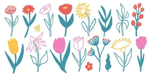 Flowers crayon drawn set. Spring tulip, daisy, aster and marguerite plants Stock Illustration