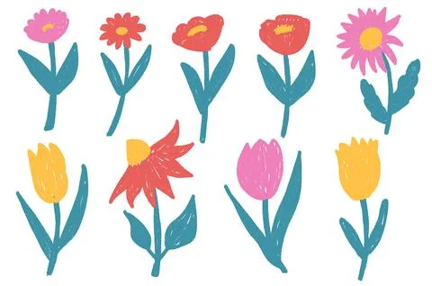 Flowers crayon drawn set. Spring tulip, daisy, aster and marguerite plants Stock Illustration