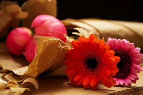 Flowers in a creative workshop Stock Photos