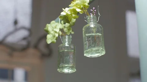 Flowers in crystal bottles wobble Stock Footage 88996481