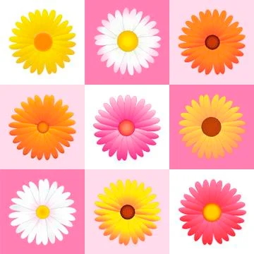 Flowers Daisies Pink Pattern Background Illustrazione stock
