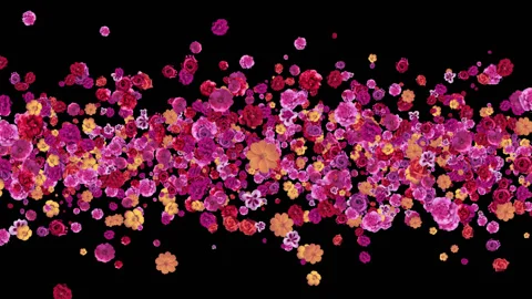 Flowers dance Видео 91383846