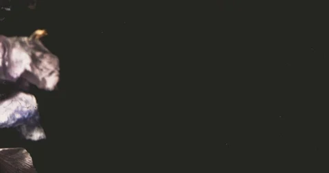 Flowers dancing in the water Stock Footage 128203957