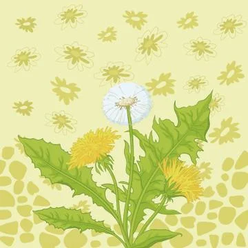 Flowers dandelion and abstract pattern Stock-Illustration