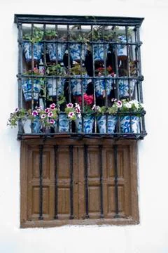 Flowers decorating the window Stock Photos