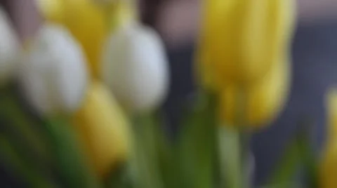 Flowers defocus focus inside home 库存影片 42784351