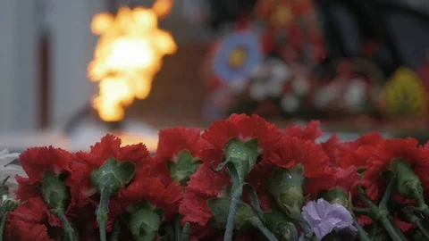 Flowers on the defocused Eternal flame background. Victory Memorial to Soviet Video stock 105566780