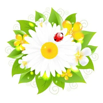 Flowers for design Stock Illustration