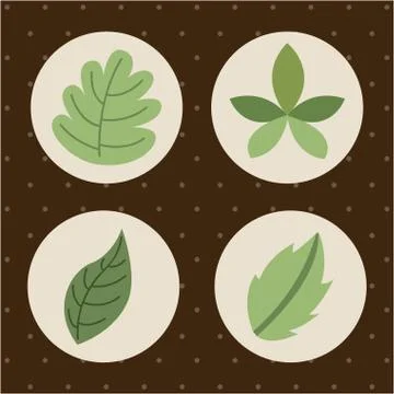 Flowers design over brown background vector illustration Ilustração Stock