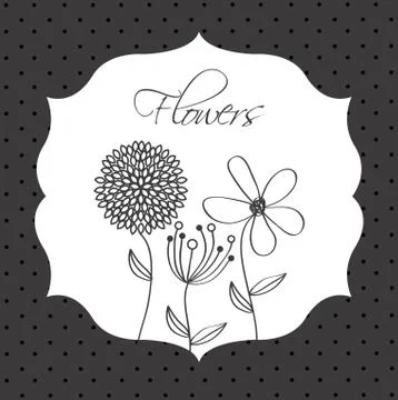 Flowers design over   dotted  background vector illustration Ilustração Stock
