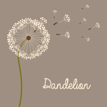 Flowers design over gray  background vector illustration Ilustração Stock