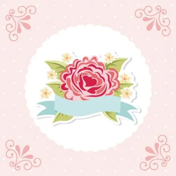 Flowers design over pink background, vector illustration Ilustração Stock