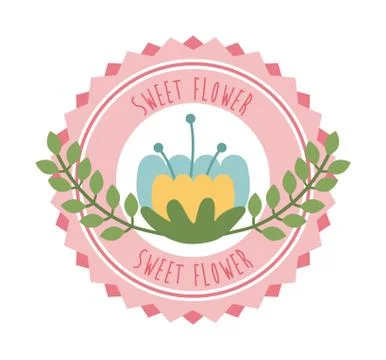 Flowers design over white background vector illustration Ilustração Stock