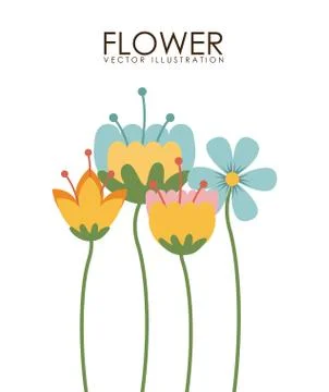 Flowers design over white background vector illustration Ilustração Stock