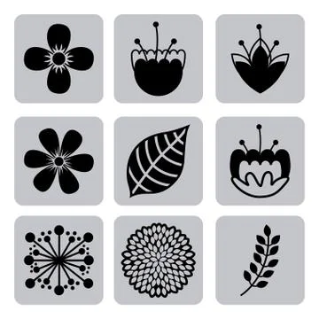 Flowers design over white background vector illustration Ilustração Stock