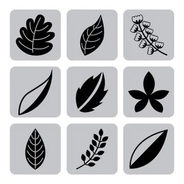 Flowers design over white background vector illustration Ilustração Stock