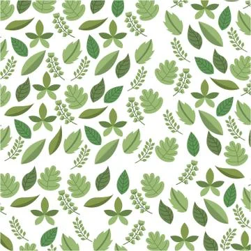 Flowers design over white background vector illustration Ilustração Stock
