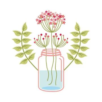 Flowers design over white background, vector illustration Ilustração Stock