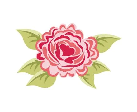Flowers design over white background, vector illustration Ilustração Stock