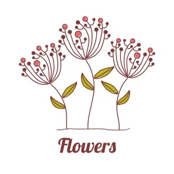 Flowers design over  white  background vector illustration Ilustração Stock