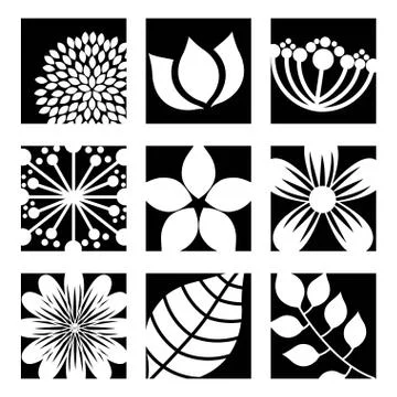 Flowers design over white background vector illustration Ilustração Stock