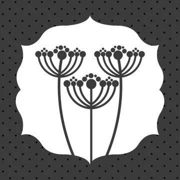 Flowers design over  white  background vector illustration Ilustração Stock
