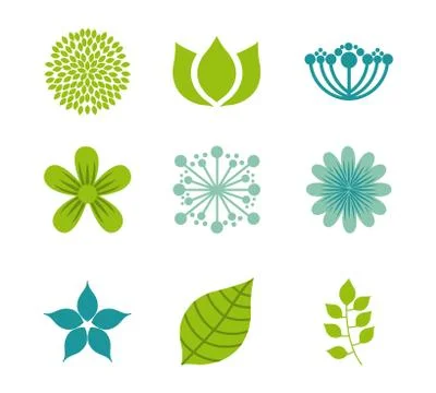 Flowers design over  white  background vector illustration Ilustração Stock