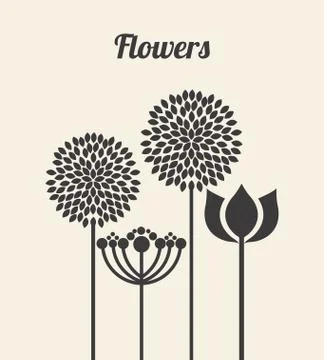 Flowers design over  white  background vector illustration Ilustração Stock