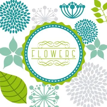 Flowers design over white   background vector illustration Ilustração Stock