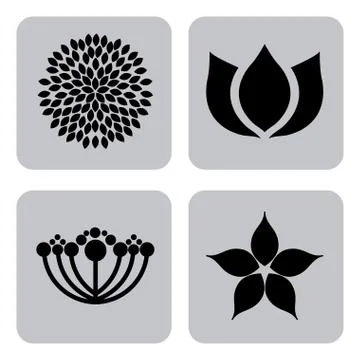 Flowers design over  white  background vector illustration Ilustração Stock