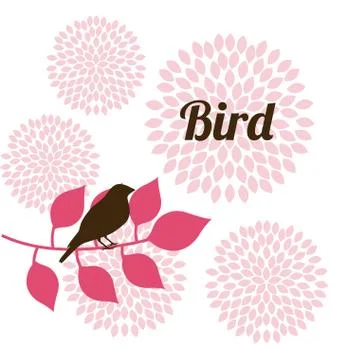 Flowers design over white   background vector illustration Ilustração Stock