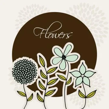 Flowers design over white   background vector illustration Ilustração Stock