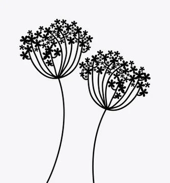 Flowers design over  white  background vector illustration Ilustração Stock