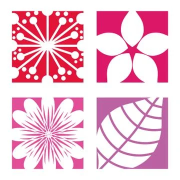 Flowers design over white   background vector illustration Ilustração Stock