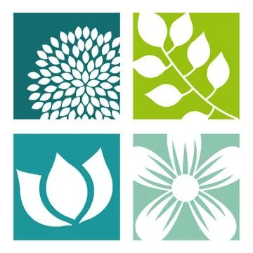 Flowers design over white   background vector illustration Ilustração Stock