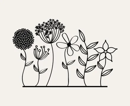 Flowers design over  white  background vector illustration Ilustração Stock