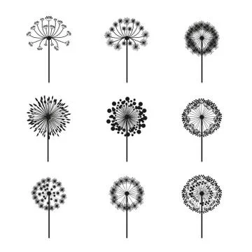 Flowers design over white background vector illustration Ilustração Stock