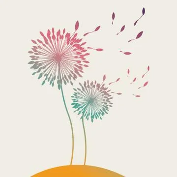 Flowers design over white background vector illustration Ilustração Stock