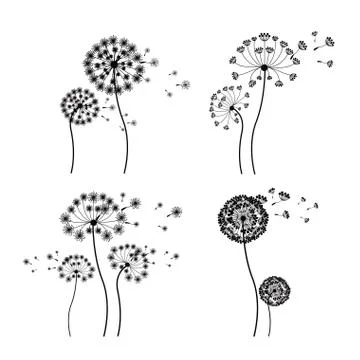 Flowers design over white background vector illustration Ilustração Stock
