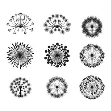 Flowers design over white background vector illustration Ilustração Stock