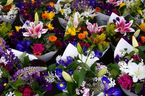 Flowers on display Stock-Fotos