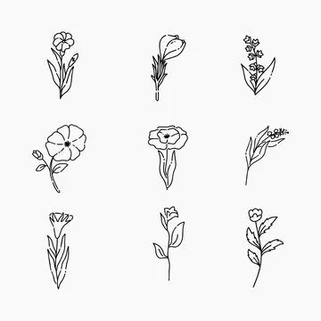 Flowers doodle line vector illustration Illustrazione stock