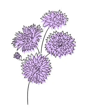 Flowers doodle. Spring botanical vector illustration. Stock Illustration