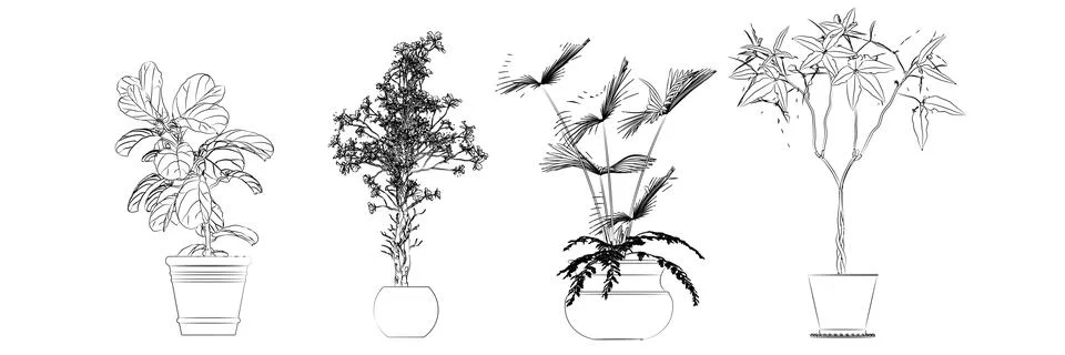 Flowers drawing Illustrazione stock